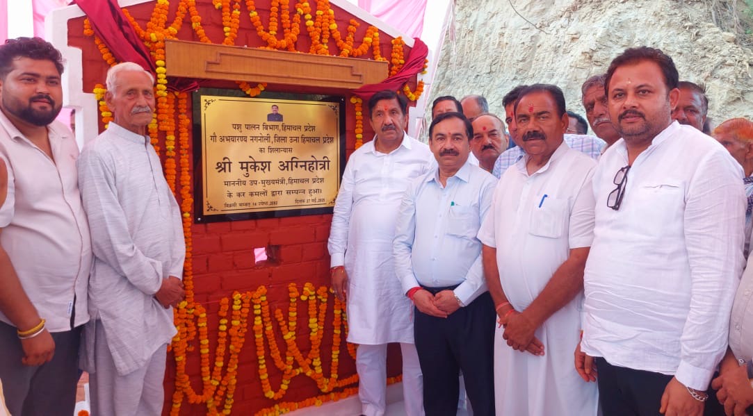 Deputy Chief Minister laid the foundation stone of Gau Sanctuary in Naganoli.